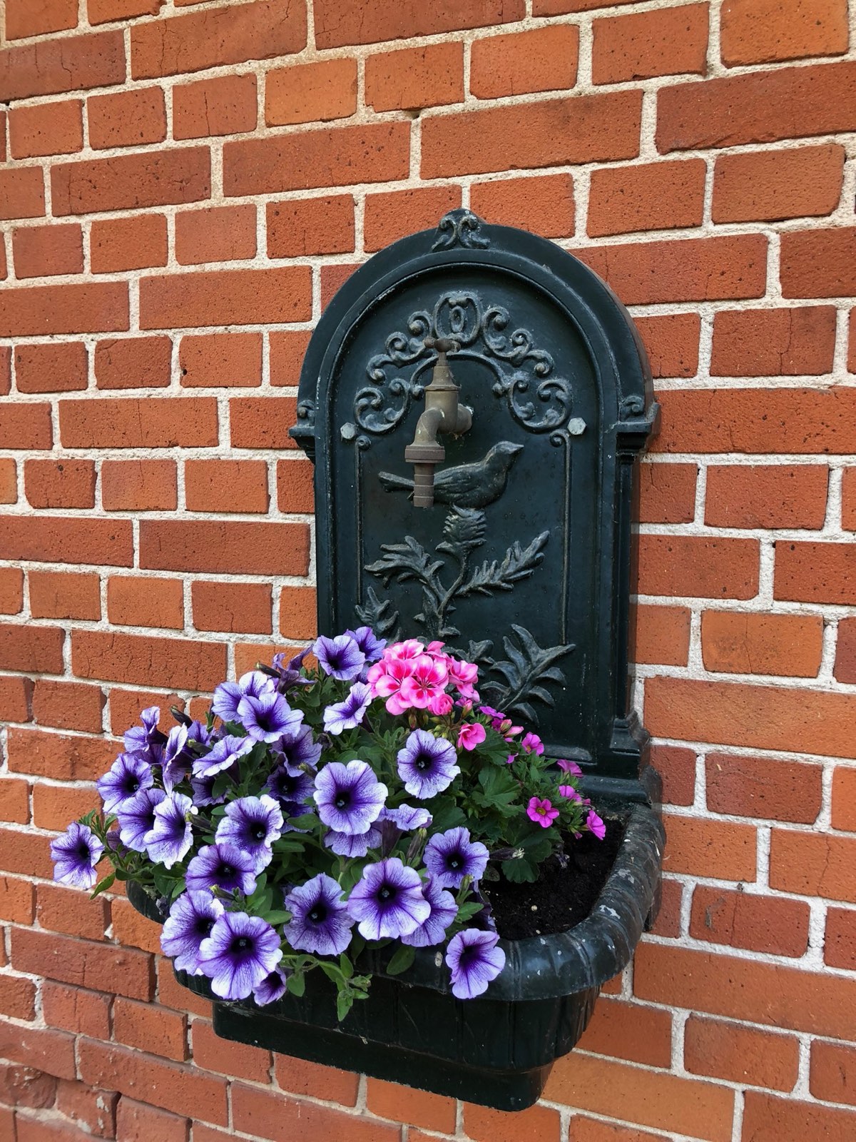Gusseiserner Wandbrunnen mit Petunien an der Backsteinwand