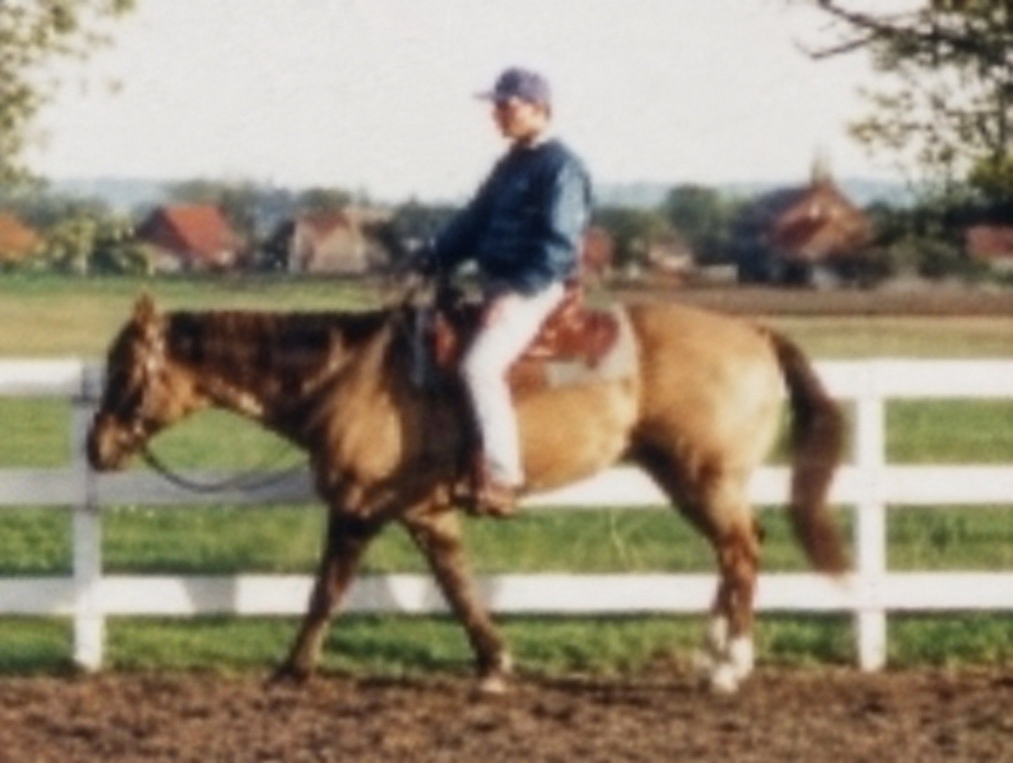 Historische Aufnahme von Buckskin Dear unter dem Sattel