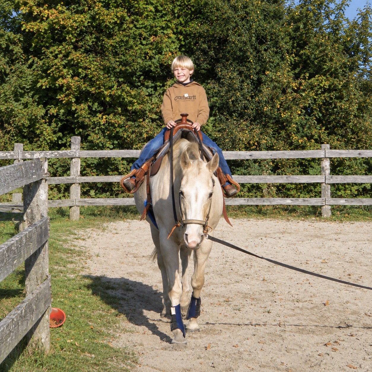 Kind reitet auf Dear Impressive Cat