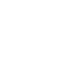 Seidel Quarter Horses Logo